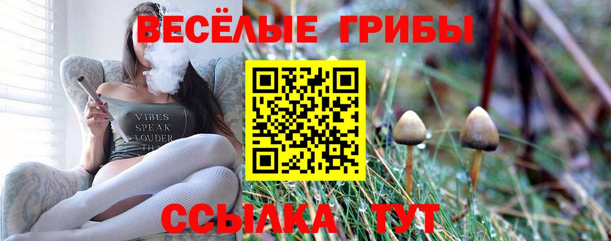 Псилоцибиновые грибы ЛСД  Вход с VPN  как найти закладки  Донецк 